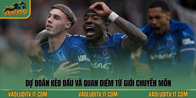 Dự đoán kèo đấu và quan điểm từ giới chuyên môn